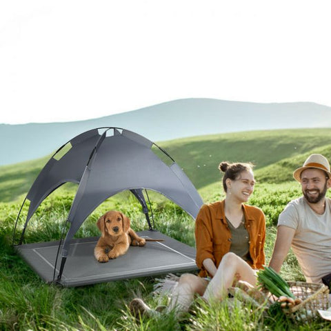 Elevated Pet Bed with Detachable Canopy