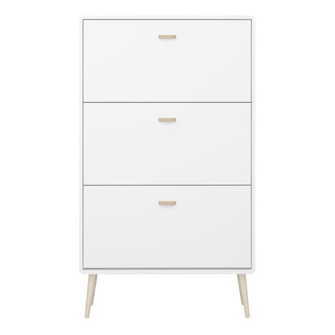 Elegant and Modern Shoe Cabinet with Ample Storage in White