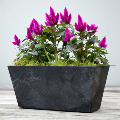 Lightweight Stone Composite Planter with Drainage System in Black