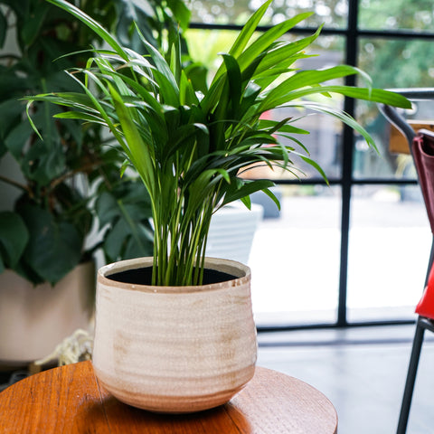 Rustic style Waterproof Planter with Elegant Glaze Finish
