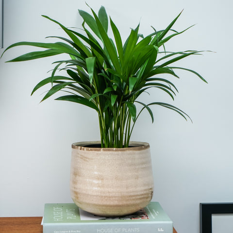 Rustic style Waterproof Planter with Elegant Glaze Finish