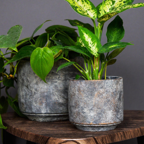 Versatile Round Indoor Planter with Dark Cement Finish