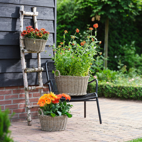 Rustic style Versatile Polyrattan Plant Basket
