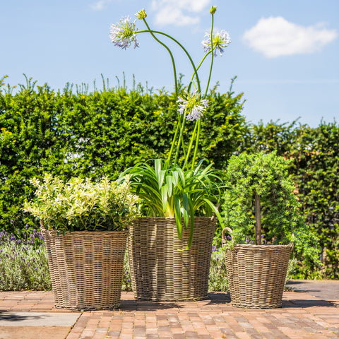 Natural Style Versatile Polyrattan Planter with Basket Shell