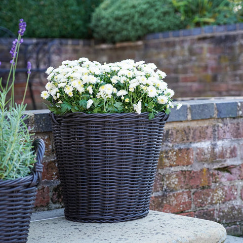 Willow Style Versatile Polyrattan Planter with Basket Shell
