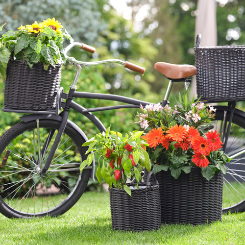 Willow Style Versatile Set of 2 Polyrattan Planters with Basket Shell