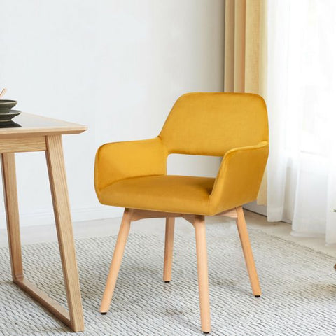 Modern Set of 2 Velvet Dining Chairs