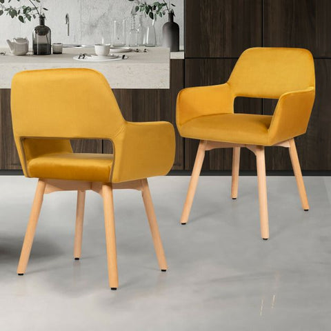 Modern Set of 2 Velvet Dining Chairs