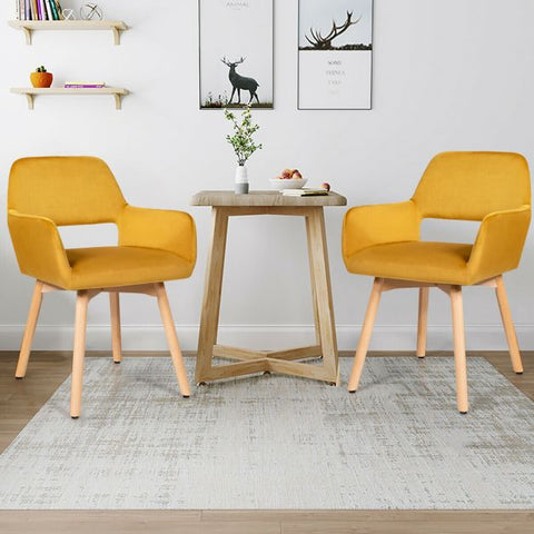 Modern Set of 2 Velvet Dining Chairs