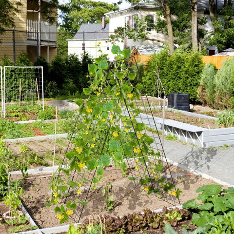 Garden Planting Helper Trellis Set in Green