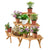 Garden Wooden Multi-Function Corner Plant Pot Stand