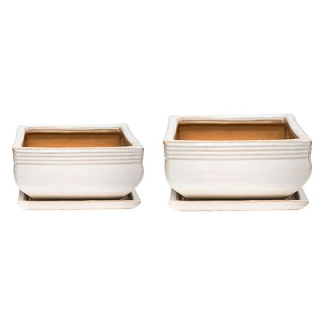 Elegant set of 2 Square Bonsai Planters with Glaze Finish