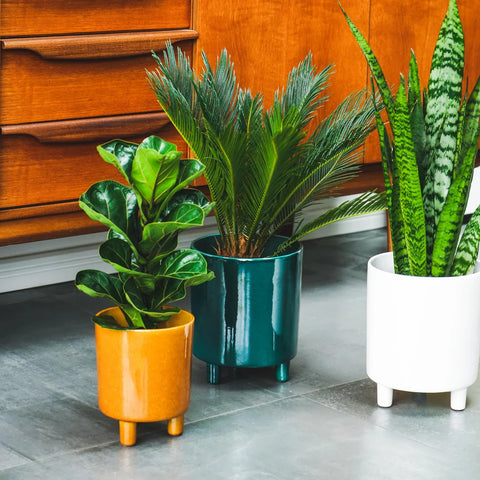 Contemporary Ceramic Planter with Tripod Legs and Glaze Finish in Emerald