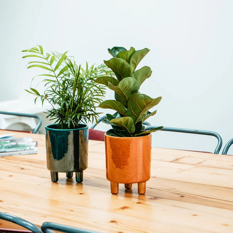 Contemporary Ceramic Planter with Tripod Legs and Glaze Finish in Emerald