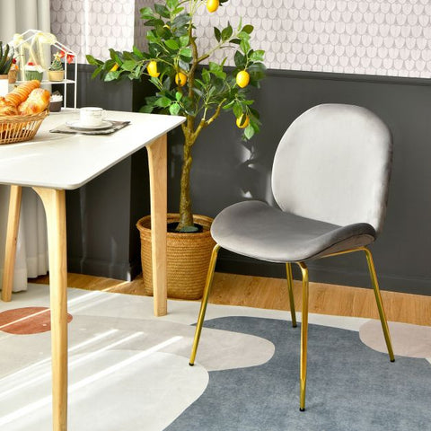 Glamorous Set of 2 Velvet Dining Chairs with Golden Legs