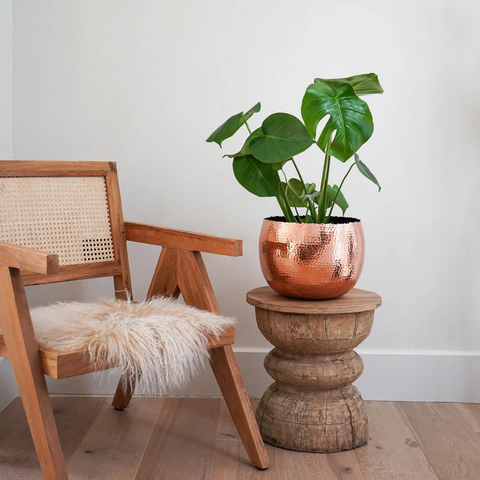 Industrial Hammered Bowl Indoor Planter in Copper and Black