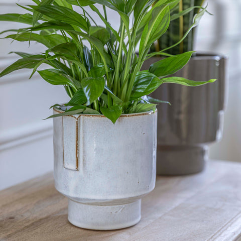 Stylish and Elegant Planter with Glazed Finish