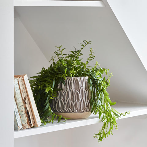 Stylish and Elegant Planter with Embossed Design Finish