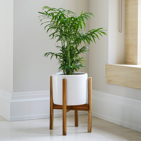 Elegant Waterproof Planter with Wooden Stand in Stone White