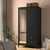 Unique and Stylish Wardrobe with Mirrored Surface Door and Drawers