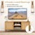 Vintage Wood Grain TV Stand with 2 Cabinets and Ample Storage