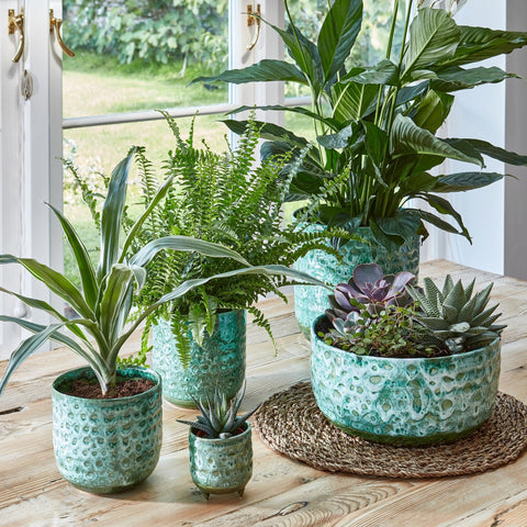 Dazzling Waterproof Planter with Glaze Finish in Emerald