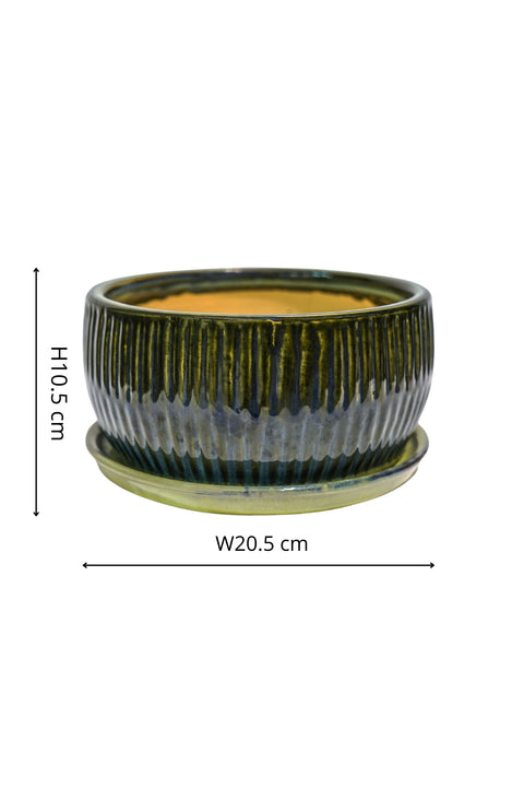 Eye-catching Indoor Round Set of 2 Bonsai Planters in Emerald