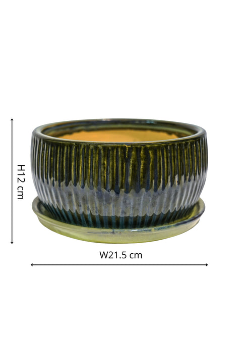 Eye-catching Indoor Round Set of 2 Bonsai Planters in Emerald