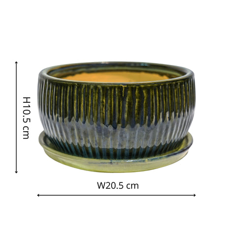 Eye-catching Indoor Round Set of 2 Bonsai Planters in Emerald