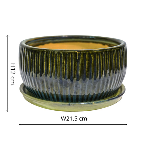 Eye-catching Indoor Round Set of 2 Bonsai Planters in Emerald