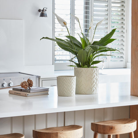 Elegant Debossed Speckle Leaf Planter in Ivory