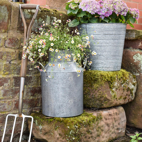 Rustic Milk Churn with Rust-resistant Design and Handles