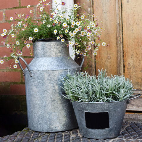 Rustic Milk Churn with Rust-resistant Design and Handles