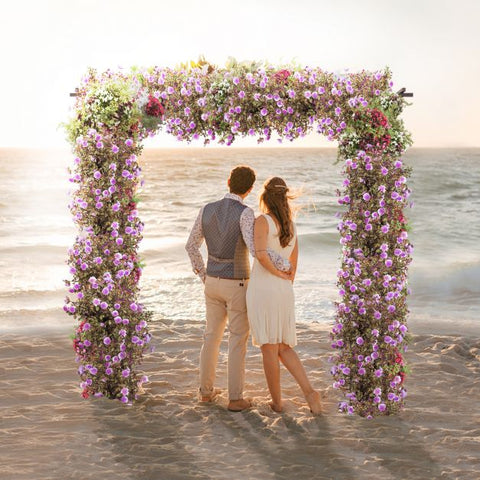 Graceful Decorative Garden Arch with Sturdy Steel Frame in Black
