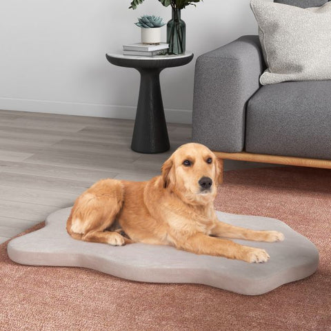 Puppy Dog Bed for Big Breeds with Memory Foam Support and Detachable Cover