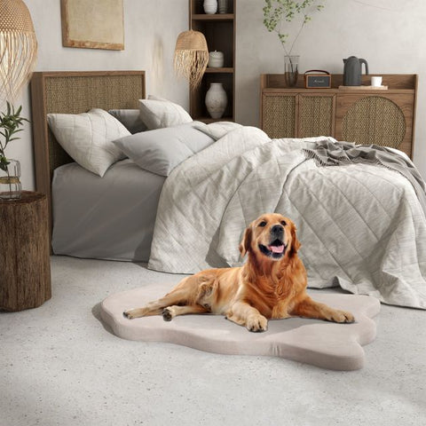 Puppy Dog Bed for Big Breeds with Memory Foam Support and Detachable Cover