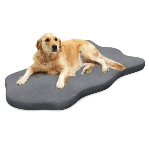 Puppy Dog Bed for Big Breeds with Memory Foam Support and Detachable Cover