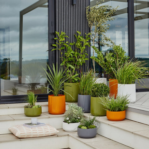 Elegant Steel Bowl Planter with Rust resistant Design