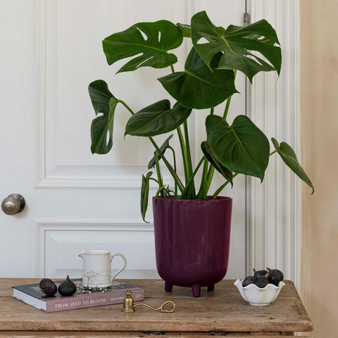 Sleek Lecce Speckled Indoor Planter in Oat