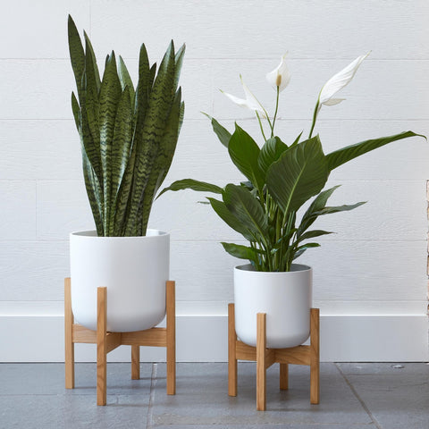 Minimalist Round Waterproof Ceramic Planter in White