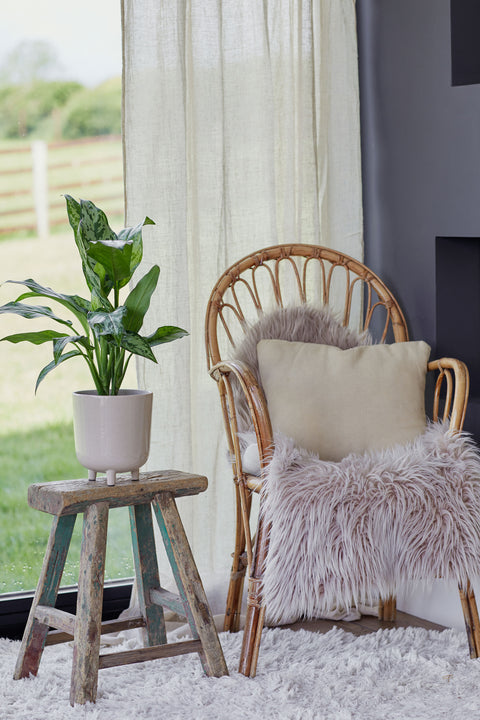 Modern White Ceramic Planter with Tripod Legs