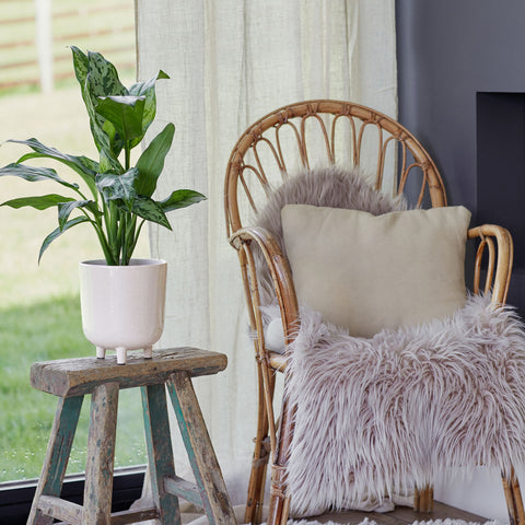 Modern White Ceramic Planter with Tripod Legs