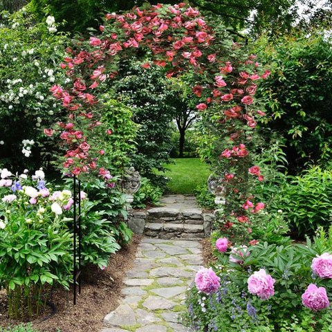Versatile 230CM Decorative Garden Arbour Trellis in Black