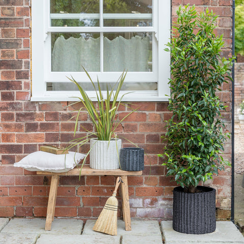 Modern Outdoor Textured Planter set of 3