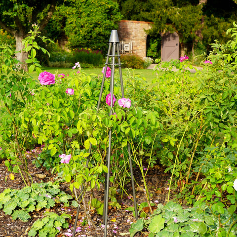 Rustic Outdoor Plant Climber Tripod in Zinc Finish
