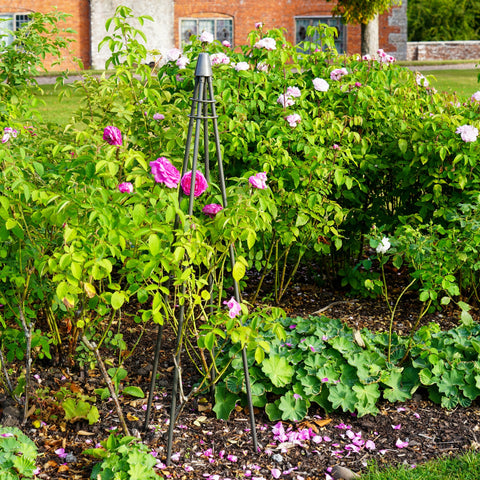 Rustic Outdoor Plant Climber Tripod in Zinc Finish