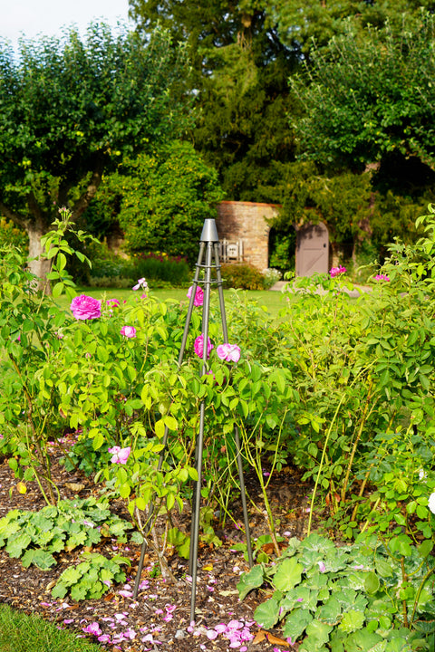 Rustic Outdoor Plant Climber Tripod in Zinc Finish
