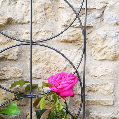 Rustic Outdoor Trellis with Cylinder Design in Zinc Finish