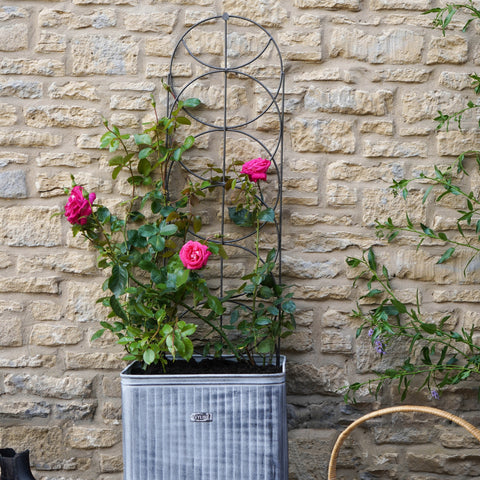 Rustic Outdoor Trellis with Cylinder Design in Zinc Finish