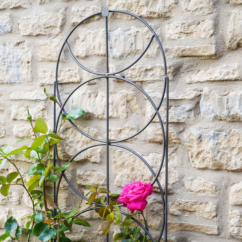 Rustic Outdoor Trellis with Cylinder Design in Zinc Finish